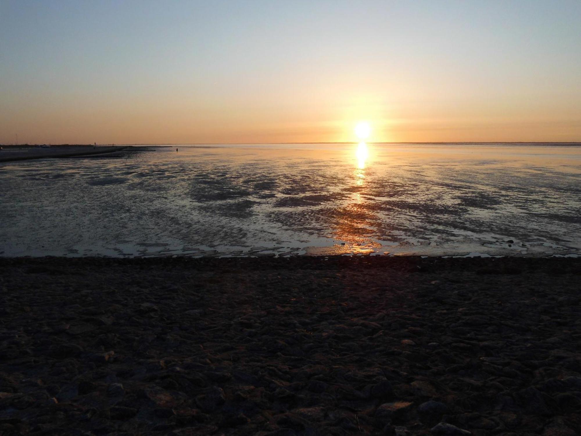 Moewennest Villa Neuharlingersiel Buitenkant foto