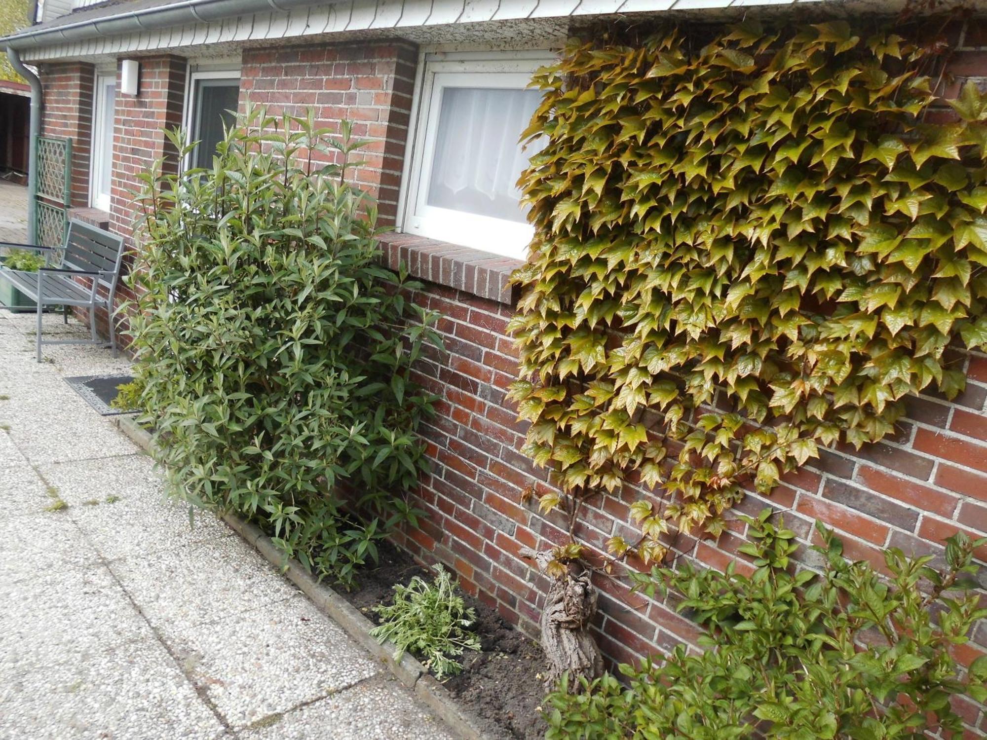 Moewennest Villa Neuharlingersiel Buitenkant foto